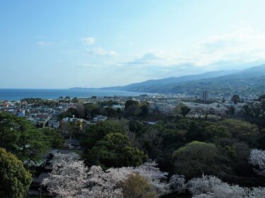 Sakura Blossoms with Odawara Castle