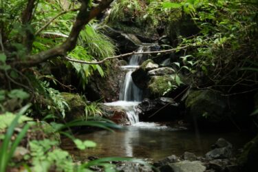 【Hiking Course Map】Mount Takao Trail No.6 – 高尾山6号路マップ