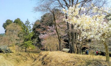 【Hiking Course Map】Mount Shiro & Kobotoke Pass – 小仏城山ハイキングコース