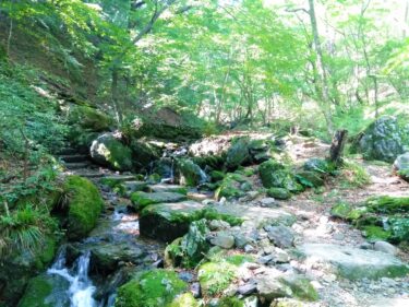 【Hiking Course Map】Mt. Mitake – 御岳山ハイキングコース