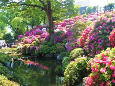 【Park & Garden Map】Nezu Shrine – 根津神社