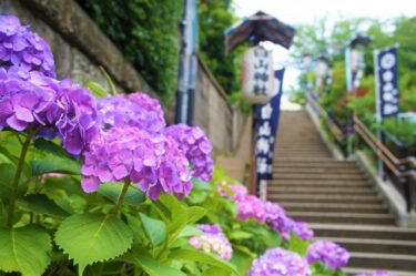 【Tokyo Walking Course】Koishikawa – 小石川散策