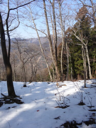 Still Some Snow on Jimba Mountain