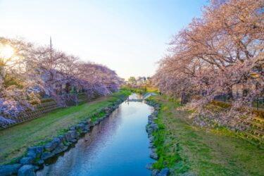 【Tokyo Walking Course】Musashino Highland – 武蔵野散策